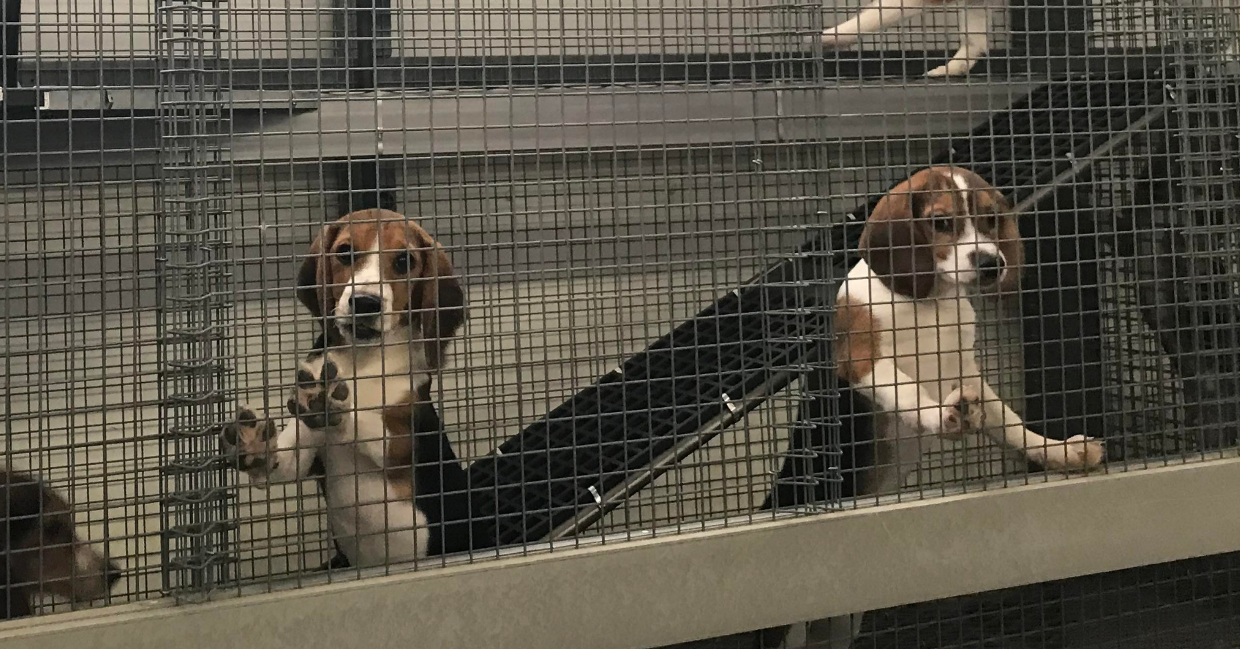 Marshall BioResources Exposed banner