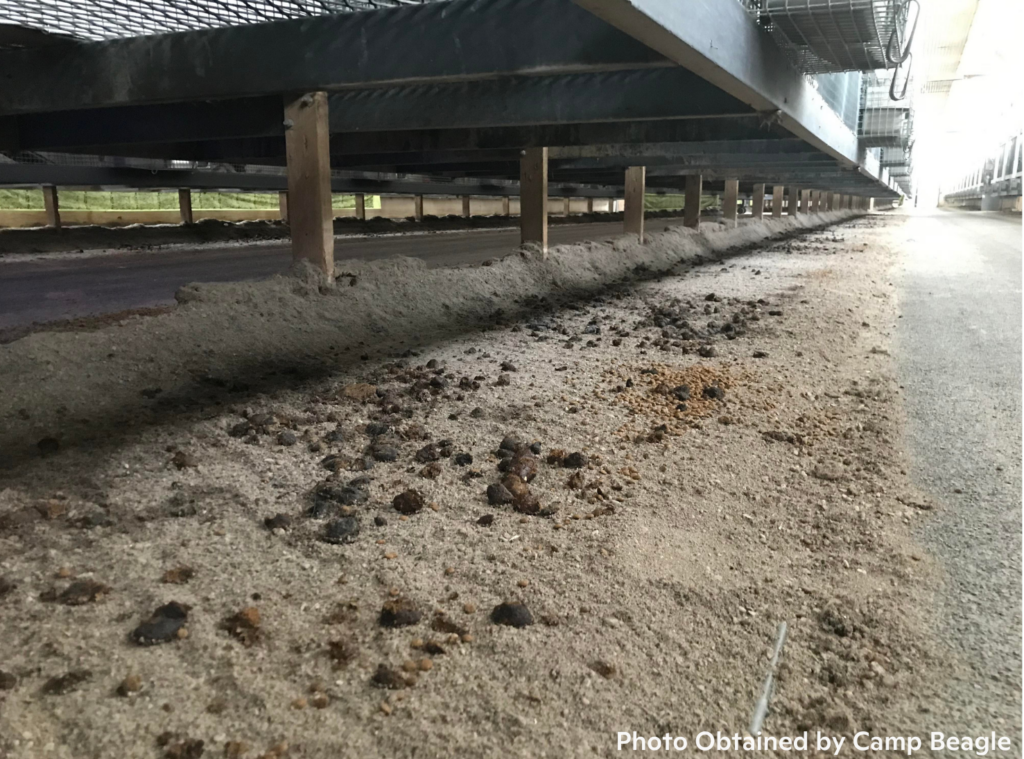 Interior corridor of Marshall facility