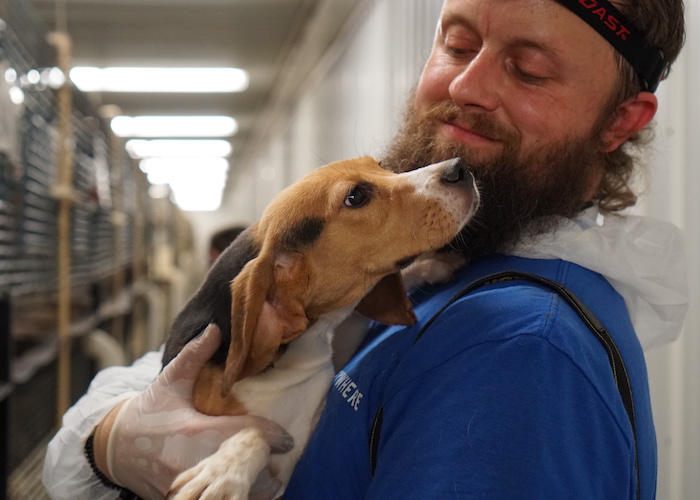 DxE investigation at Ridglan Farms